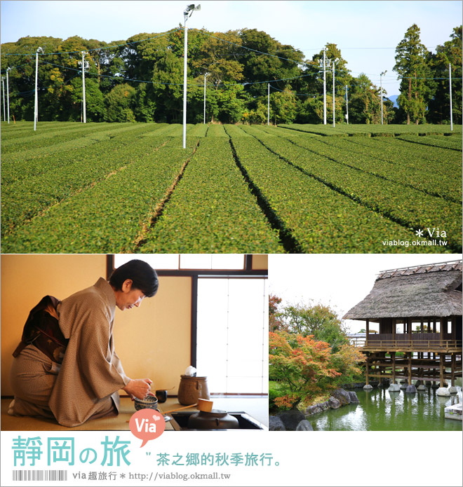靜岡自由行程》靜岡旅遊～茶之鄉的秋季旅行《六日行程篇》跟著Via醬玩西靜岡！