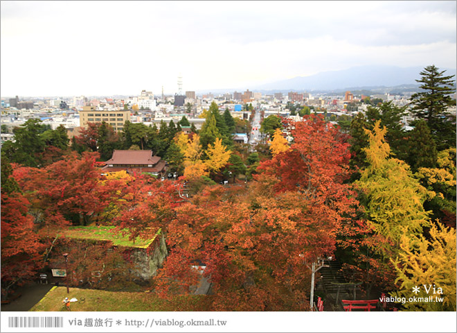 福島旅遊景點》鶴之城／會津若松城～日本百選名城之一！日本國內唯一使用赤瓦的古城