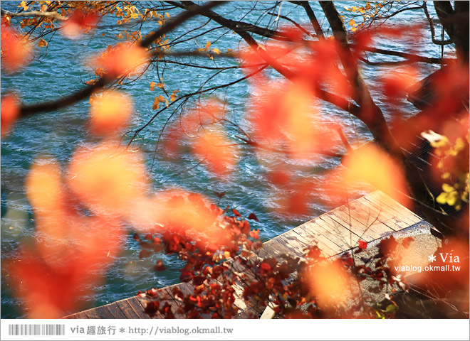 福島景點推薦》五色沼～福島的人氣景點！搭配紅葉的夢幻湖沼之旅