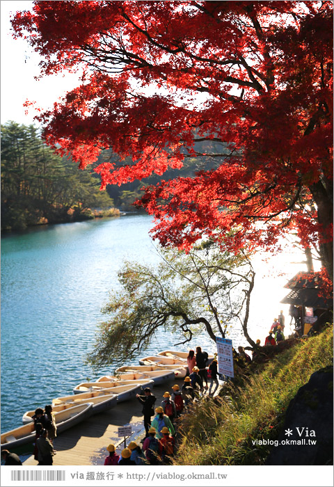 福島景點推薦》五色沼～福島的人氣景點！搭配紅葉的夢幻湖沼之旅