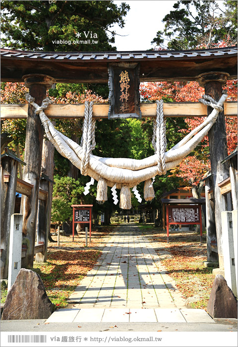 福島喜多方景點》新宮熊野神社～八百多年大銀杏樹！值得一賞的秋季銀杏美景！