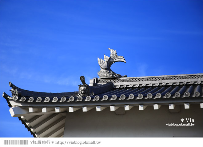 掛川旅遊景點》掛川城天守閣＋御殿～秀麗典雅的東海名城散步去