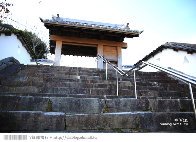 【掛川旅遊景點】掛川城天守閣＋御殿～秀麗典雅的東海名城散步去