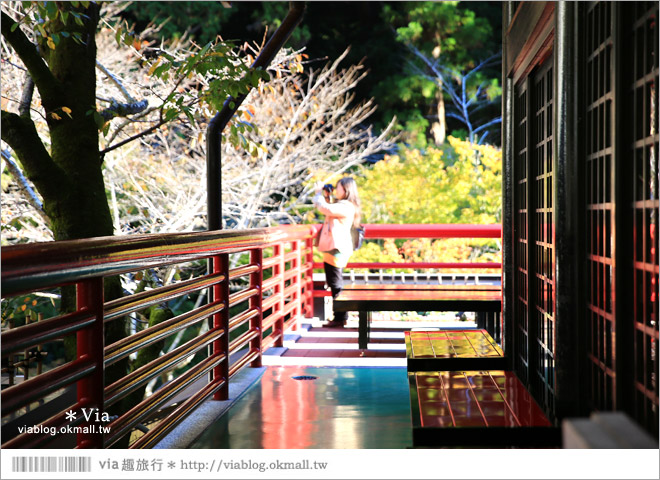 【靜岡觀光景點】法多山尊永寺～國家文化財之一的靜謐寺院！來去吃消災丸子求好運～