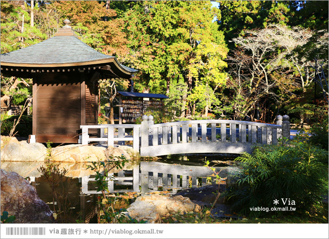 靜岡觀光景點》法多山尊永寺～國家文化財之一的靜謐寺院！來去吃消災丸子求好運～