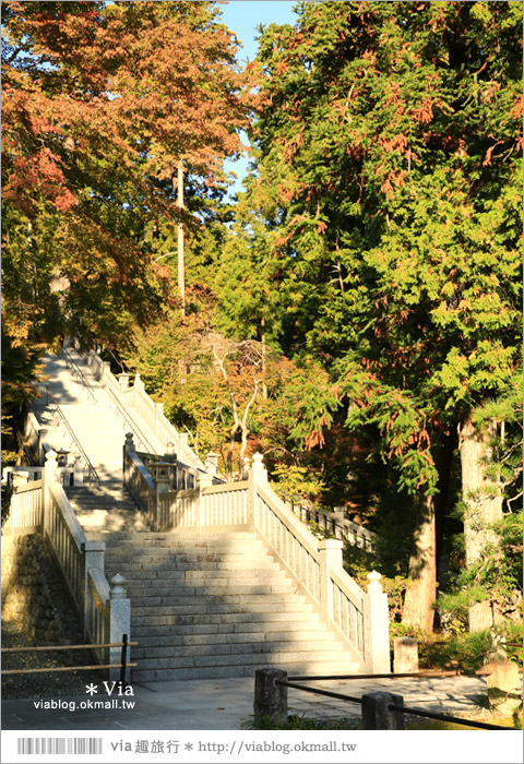 【靜岡觀光景點】法多山尊永寺～國家文化財之一的靜謐寺院！來去吃消災丸子求好運～