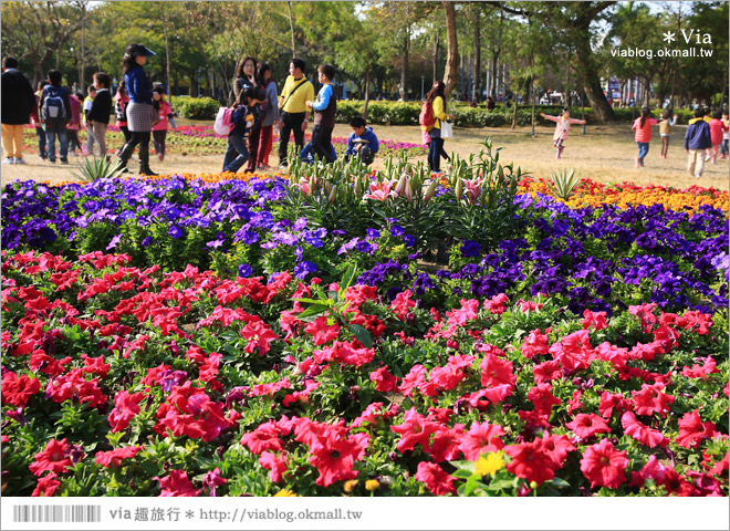 台南百花祭》2015台南百花祭地點：水萍塭公園／化身成一座可口的甜點花園！