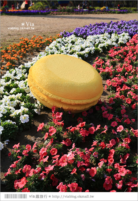 台南百花祭》2015台南百花祭地點：水萍塭公園／化身成一座可口的甜點花園！