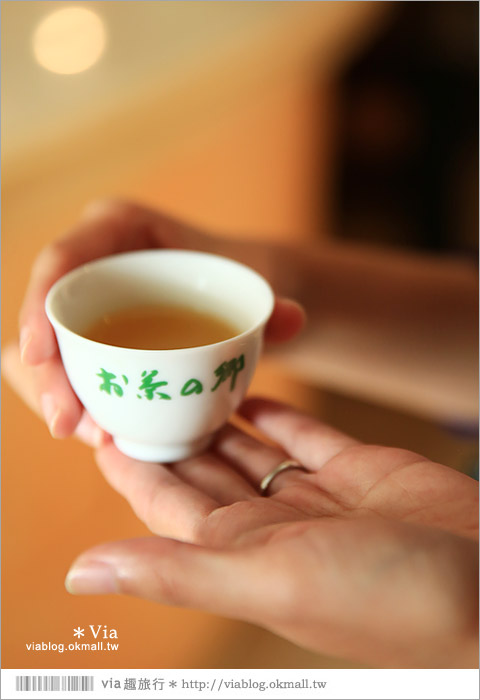 靜岡景點》茶之鄉博物館～來去茶裏王廣告取景的茶園美地尋茶趣！