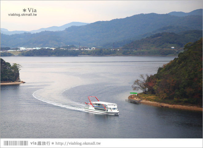 濱松旅遊(下)》濱名湖一日旅～吃鰻魚飯、搭遊船餵海鷗、搭覽車賞美景！