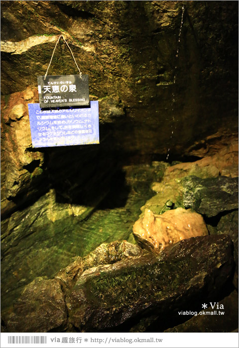【濱松旅遊(上)】靜岡濱松之旅～億萬年打造而成的「龍岩洞」＋國家指定名勝「龍潭寺名園」