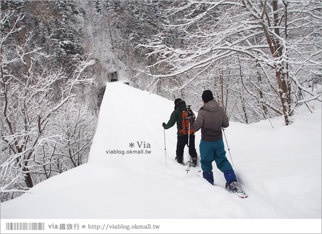 北海道冬季玩法》美瑛｜白金溫泉鄉～來去雪鞋體驗、漫步在白色森林中耍浪漫