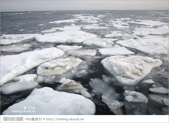 網走流冰》北海道網走破冰船～搭乘極光號破冰船出海賞流冰去囉！