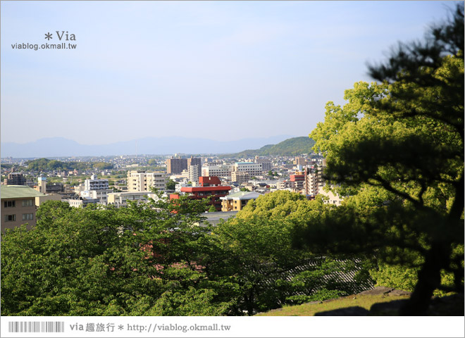 熊本旅遊景點》熊本城～擁有四百多年歷史的日本三大名城之一！來熊本必玩～