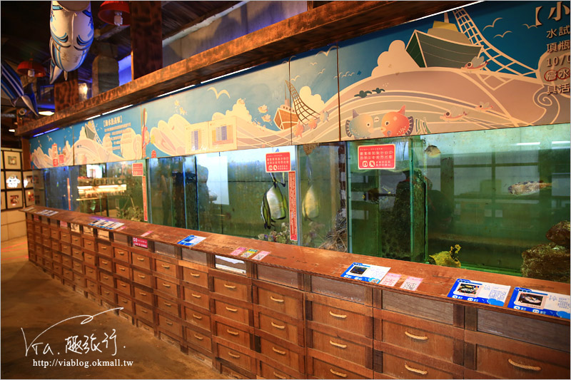 花蓮景點推薦》七星柴魚博物館～來找柴魚伯、曼波嬸遊玩！飄著柴魚香的小旅點！