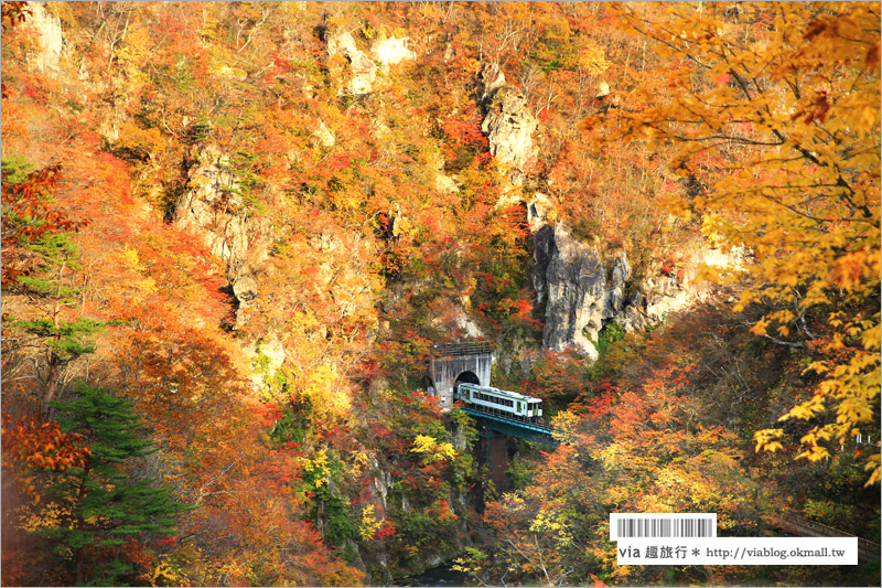 日本東北賞楓》宮城‧嗚子峽紅葉狩～絕美的紅葉山巒，必賞的東北紅葉景點！