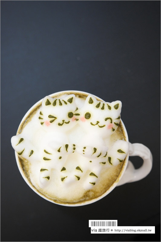 台中咖啡廳》台中貓咪咖啡廳～咕嚕貓咖啡(已歇業)＊貓咪跳進奶泡裡！立體拉花超療癒！