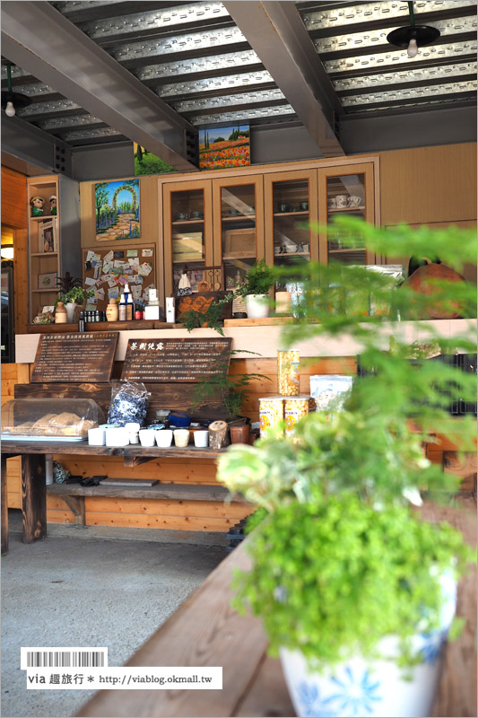 南投139縣道》29號花園咖啡～眺望大彰化南投的美麗景觀、滿滿的多肉植物好可愛！