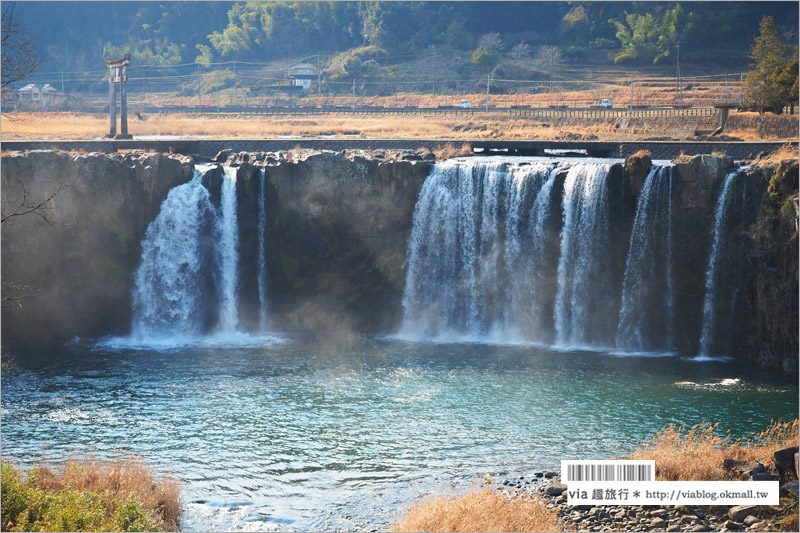 九州大分景點》大分旅遊景點～原尻瀑布／東方版的尼加拉瓜大瀑布！春季還有鬱金香花海！