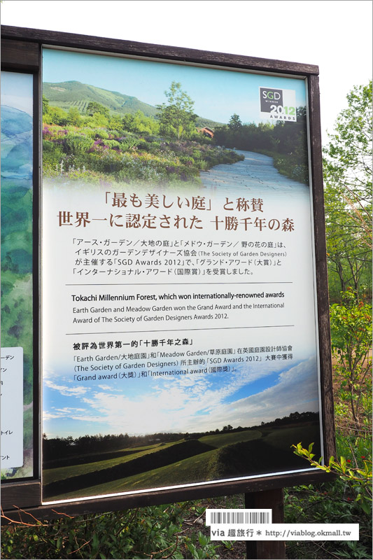 北海道旅遊景點》十勝千年之森～夢幻的療癒系森林大草原、來去森林散散步！