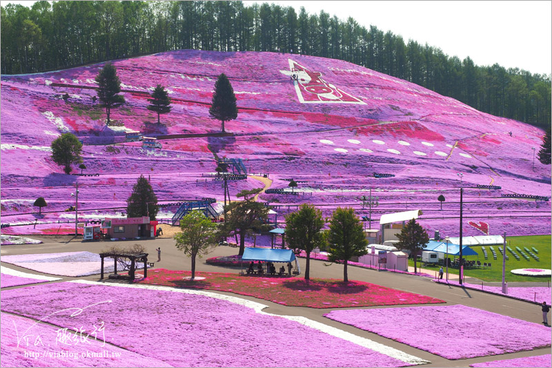 【北海道旅遊】網走｜大空町東藻琴芝櫻公園～絕美的粉紅國度！一生一定要看一次的美景！