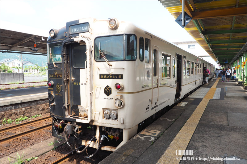 九州觀光列車》指宿之玉手箱～看得見海的鐵路！有著浦島太郎傳說的黑白色車廂、親子同遊的好選擇！