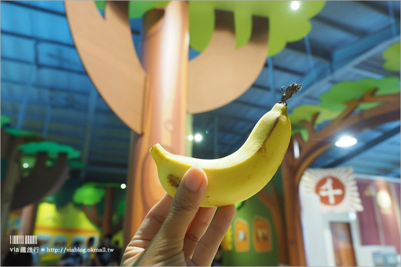 【南投景點】集集一日遊景點～集元果觀光工廠：香蕉松鼠主題好可愛！親子同樂新玩點！