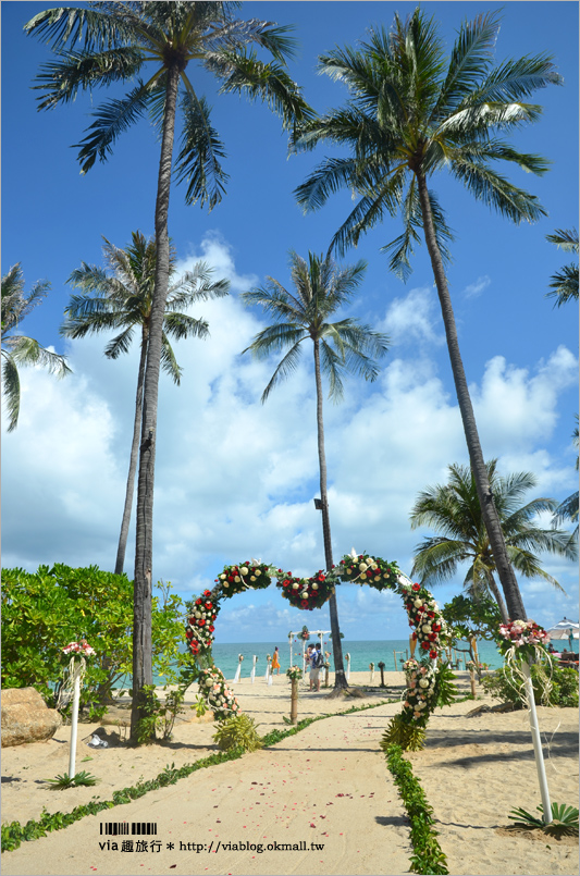 蘇美島飯店》蜜月推薦！酒店專屬的夢幻海灘婚禮體驗～New Star Beach Resort