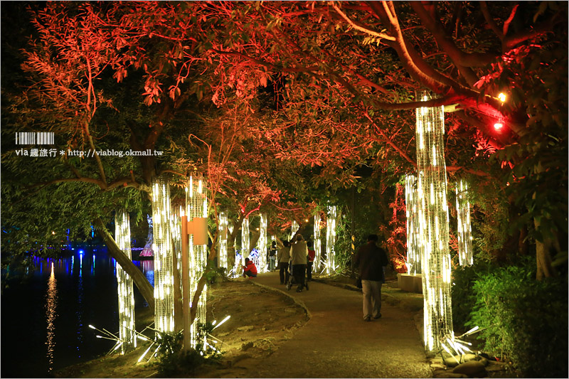 月津港燈節》年節去哪玩～全台最美燈節！燈節作品更甚往年～光之迷宮超迷人！