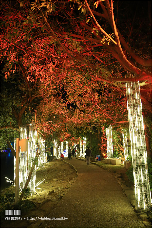 月津港燈節》年節去哪玩～全台最美燈節！燈節作品更甚往年～光之迷宮超迷人！