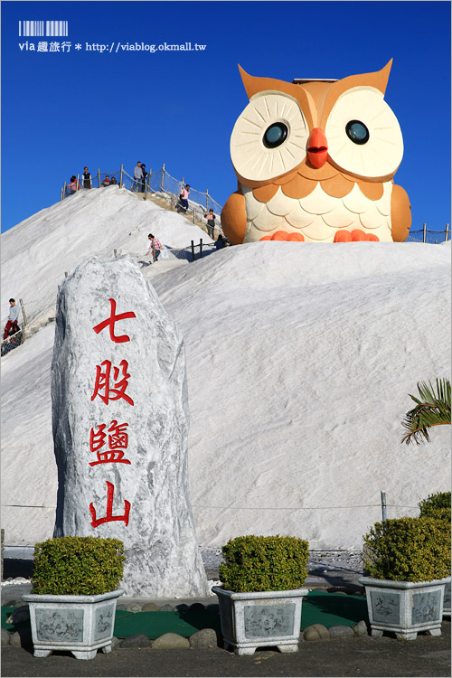 台南七股鹽山》新亮點來了～鹽山上的超萌貓頭鷹！今年走春的最佳旅行地～GO！