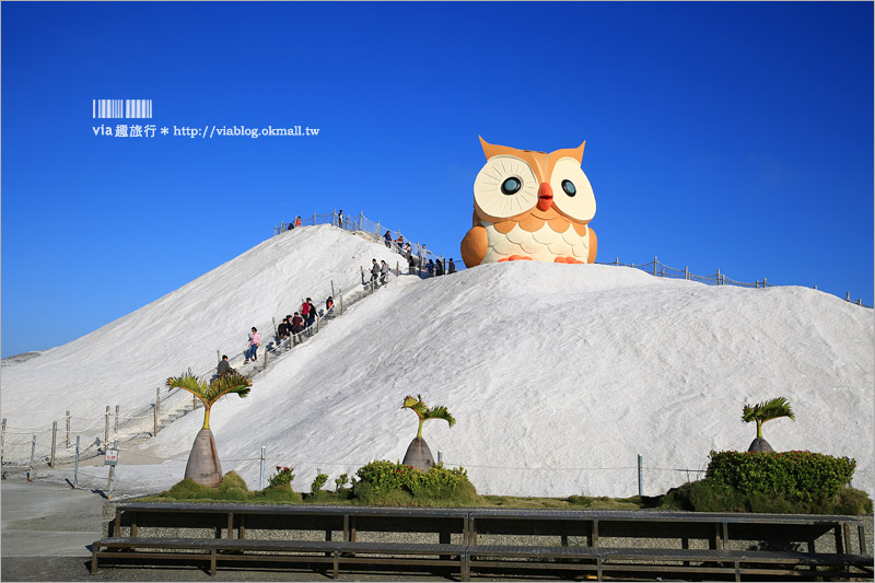 【台南七股鹽山】新亮點來了～鹽山上的超萌貓頭鷹！今年走春的最佳旅行地～GO！