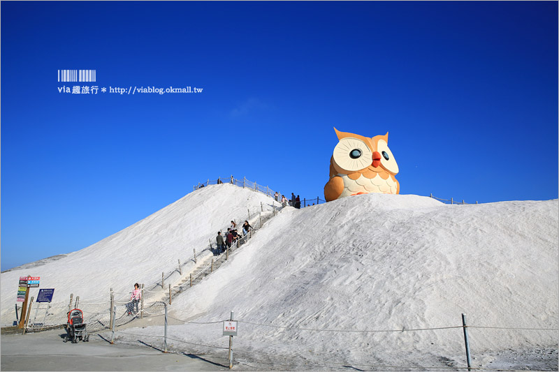 【台南七股鹽山】新亮點來了～鹽山上的超萌貓頭鷹！今年走春的最佳旅行地～GO！