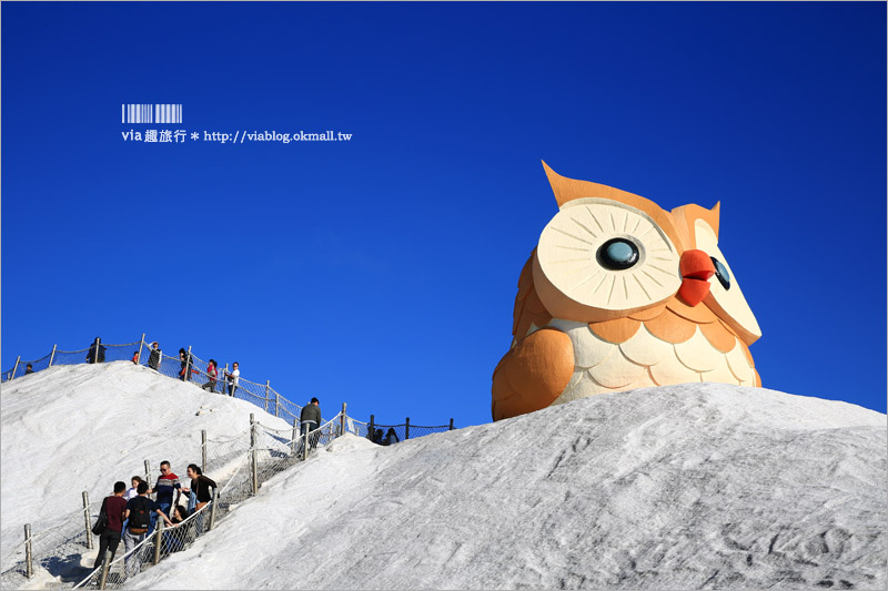 台南七股鹽山》新亮點來了～鹽山上的超萌貓頭鷹！今年走春的最佳旅行地～GO！