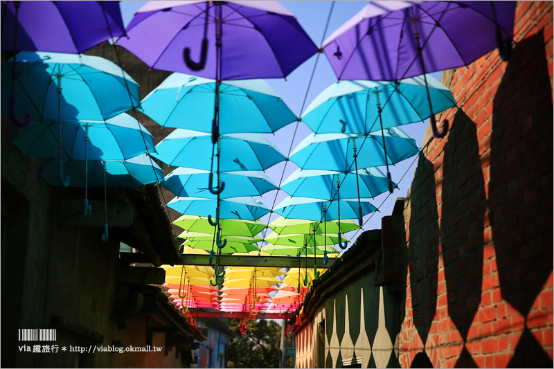 彰化景點》卡里善之樹‧Rainbow House─為愛撐傘｜小新清旅點報到！彩虹般的傘樹＋傘巷好夢幻！