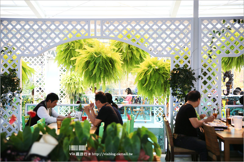 【彰化菁芳園落羽松】Tenway Cafe～園區新咖啡館登場！帶著紫色夢幻感的玻璃花房好浪漫！
