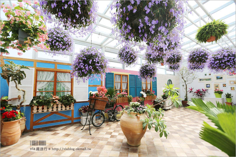 【彰化菁芳園落羽松】Tenway Cafe～園區新咖啡館登場！帶著紫色夢幻感的玻璃花房好浪漫！