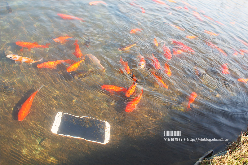 【新機推薦】Samsung Galaxy A7《魅桃粉／新上市》～平價的A級防水手機！水秘境旅行就帶它去！