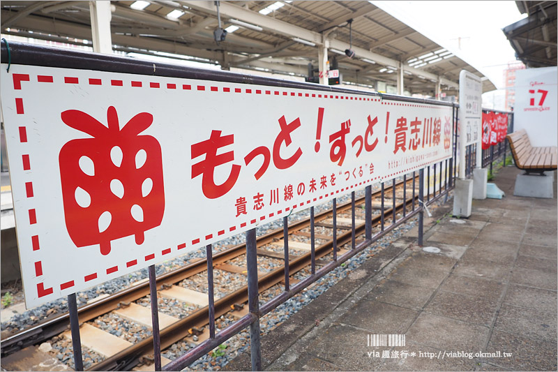 和歌山自由行》草莓電車～粉嫩甜美的草莓主題列車好好拍！和歌山貴志川線一日遊(1)