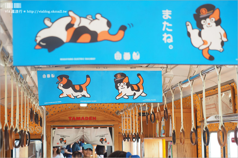 和歌山自助旅行》小玉電車～超療癒！全日本最紅的貓咪主題電車！和歌山電鐵貴志川線一日遊(3)