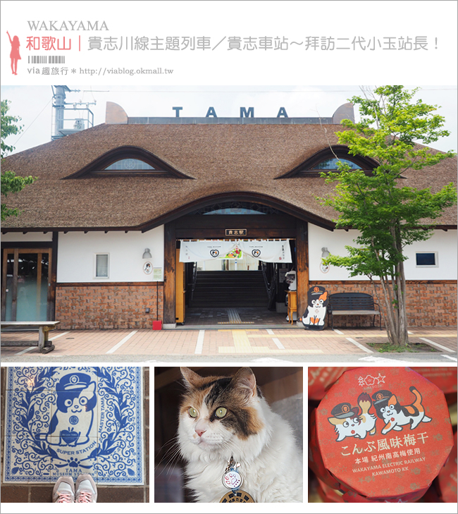 和歌山景點》貴志車站／小玉車站～卡哇依！貓咪造型的車站好療癒～咖啡廳、商店都好好買！