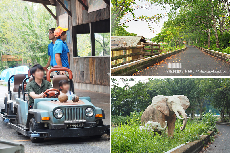 【日本旅遊景點】琦玉‧東武動物公園～適合親子出遊的東京近郊玩點！樂園＋動物園一次滿足！