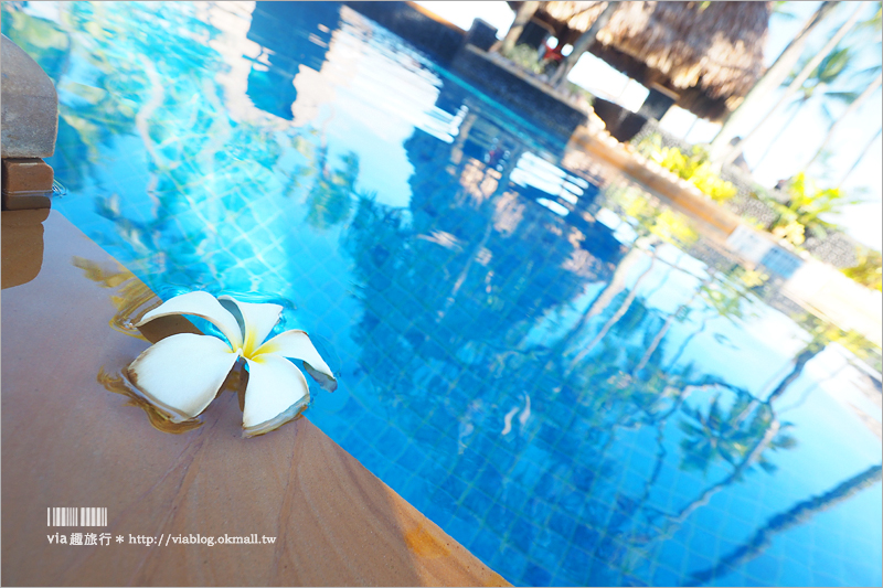 斐濟飯店》斐濟丹娜拉島威斯汀Spa度假酒店～夢幻泳池＋無敵海景～渡假首選就是它！