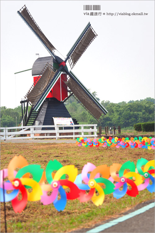 台南景點》德元埤荷蘭村～風車節實況報到！7000支的彩色小風車好繽紛！