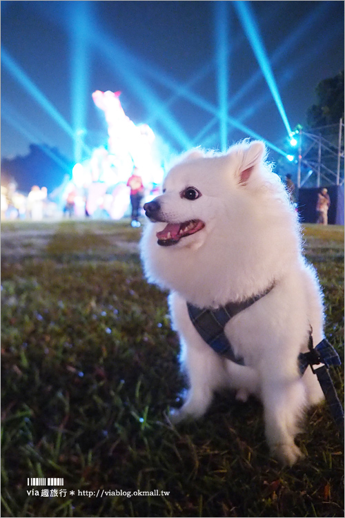 【台中燈會】中台灣燈會～「喜迎來富」狗年主燈秀搶先看！元宵節就來這賞燈趣！