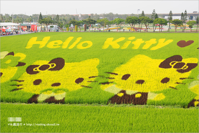 屏東熱帶農業博覽會》Kitty彩繪稻田(已撤展)～萌翻天！春節旅遊就去這～KITTY在屏東等你來玩！