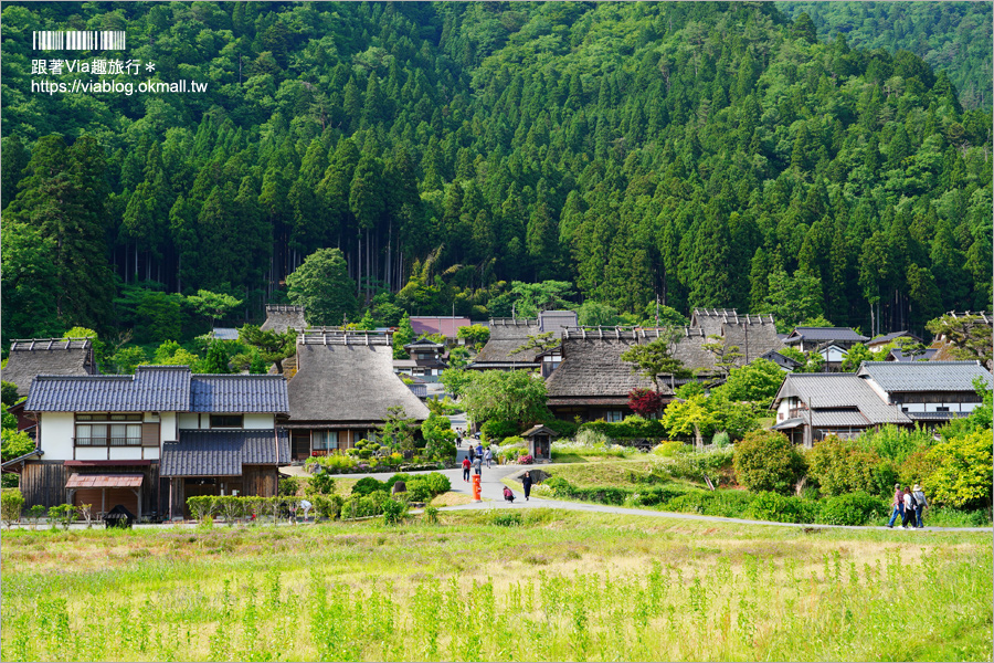 京都旅遊》美山町かやぶきの里～綠色版美山町超美！必去～日本三大茅葺屋聚落！