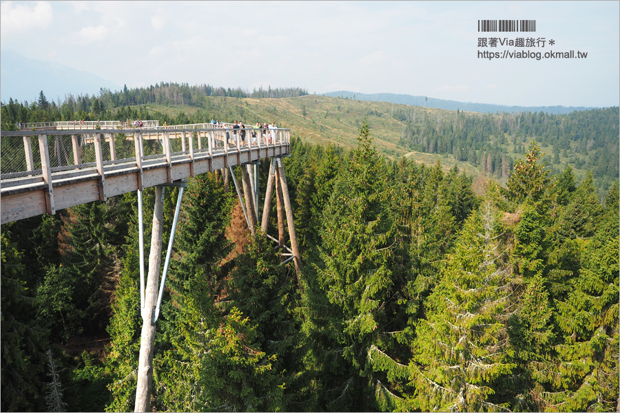 斯洛伐克自由行》Treetop walk Bachledka～森林中樹頂步道，挑戰心臟之餘又有美景相伴的新景點！