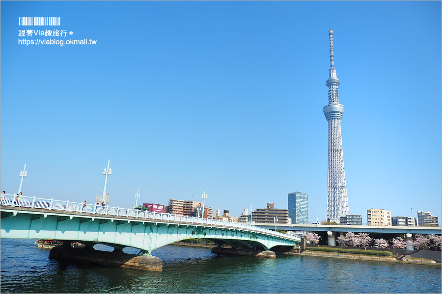 東京櫻花景點》淺草隅田公園～櫻花＋晴空塔＋隅田川～一次滿足！拍晴空塔的超美角度看這篇！