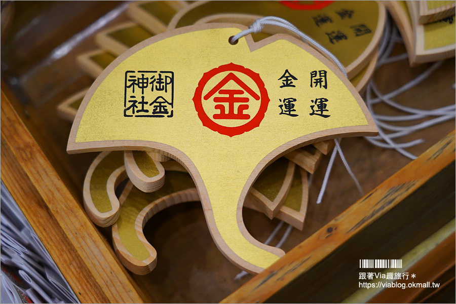 京都景點》御金神社～超美金色鳥居！金色版銀杏繪馬！來日本體驗「合法洗錢」的樂趣！